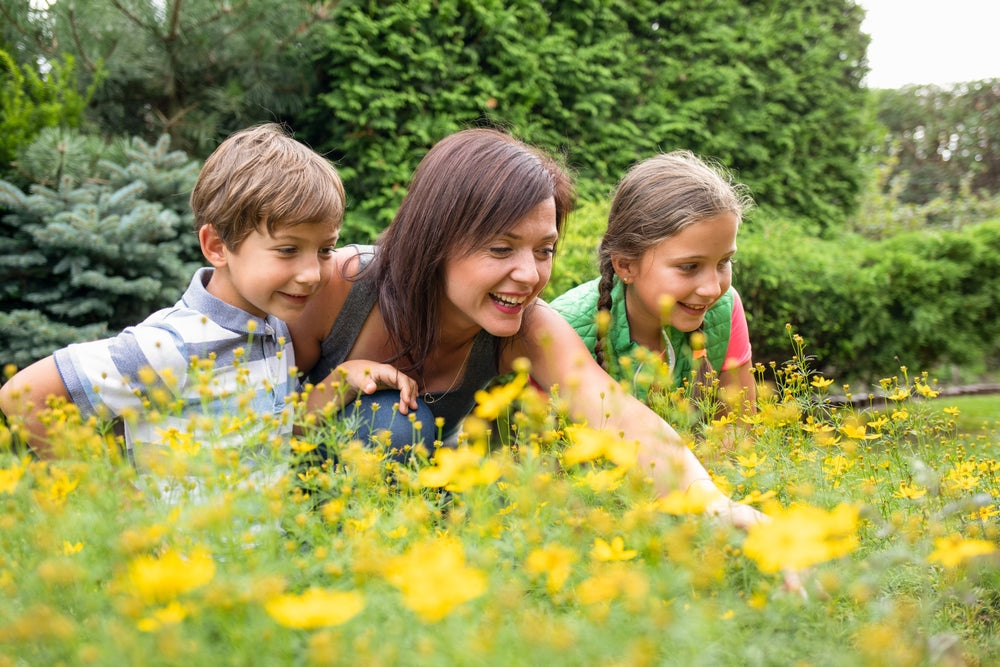 Garten im Frühling: Die besten Tipps und Tricks für die Saison