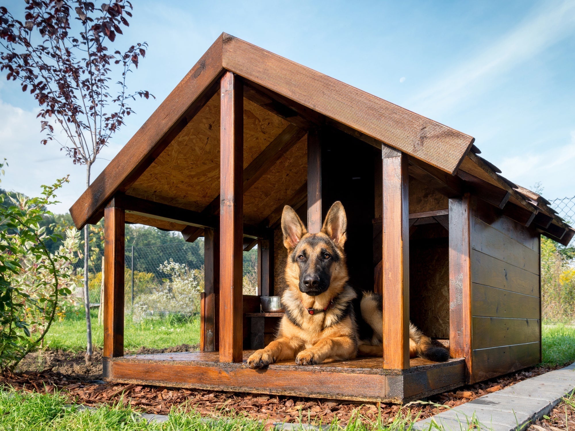 Hundehütte selber bauen: DIY-Projekt für eine isolierte Hundehütte im Garten für deinen Vierbeiner
