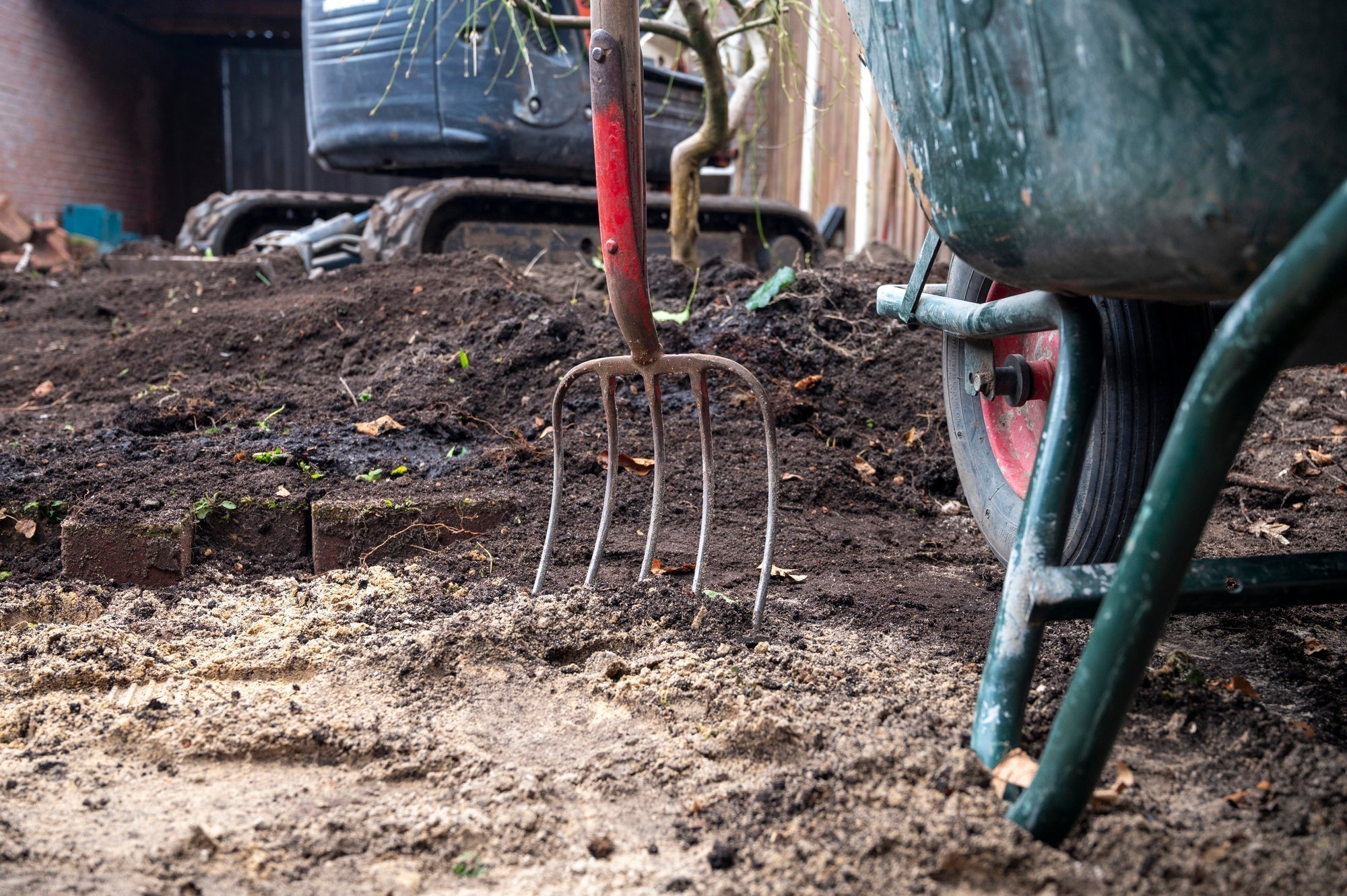 Garten vorbereiten: Obstbäume, Hecke, Aussaat und alle Gartenarbeiten im Überblick