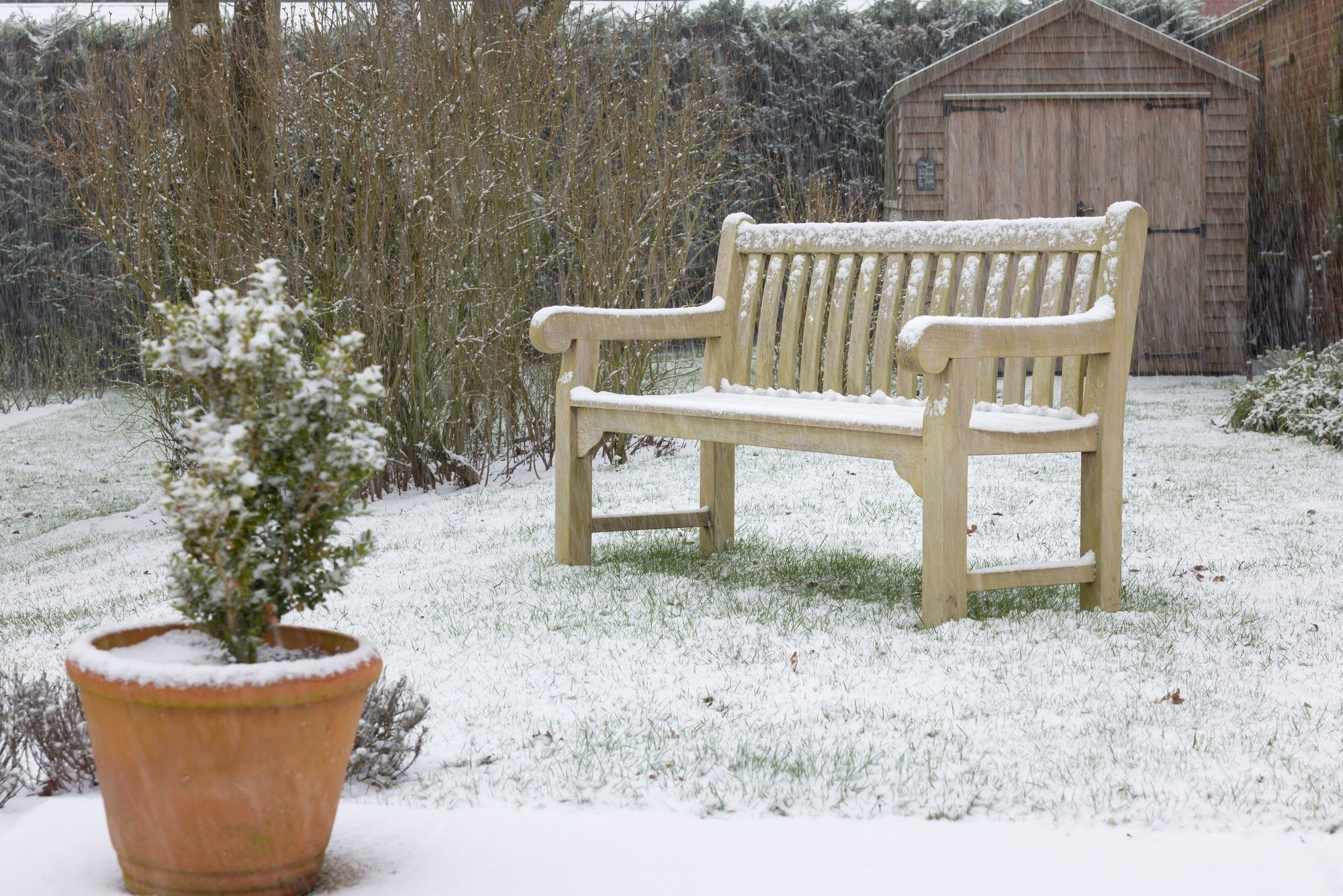 Gartenarbeit im Januar: Was im Garten zu tun ist