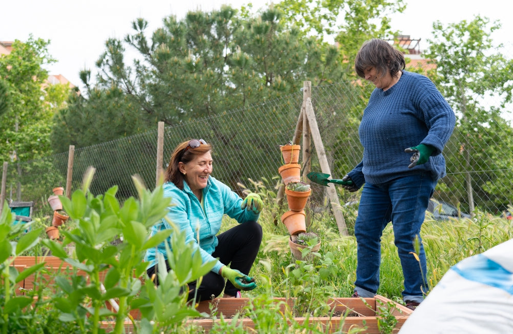 Urban Gardening Ideen: Gemeinschaftsgärten als grüne Oasen in der Stadt