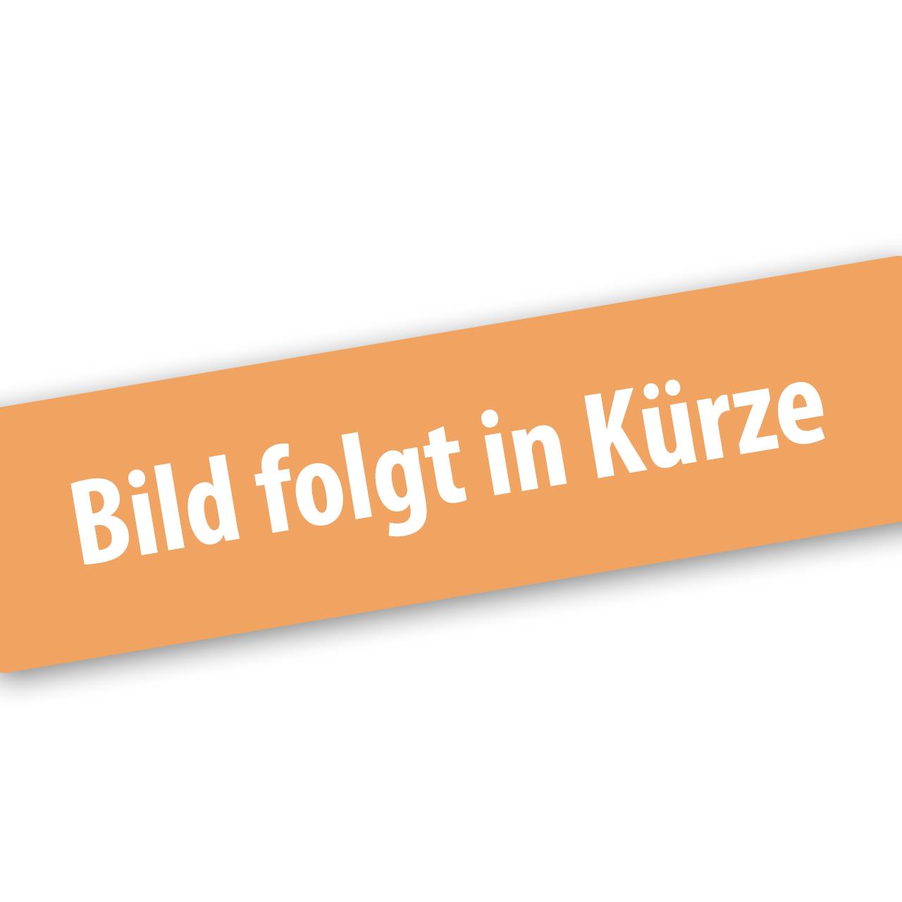FUXTEC vorderes Blasrohr für LBP165T